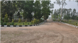 Partner Image 1